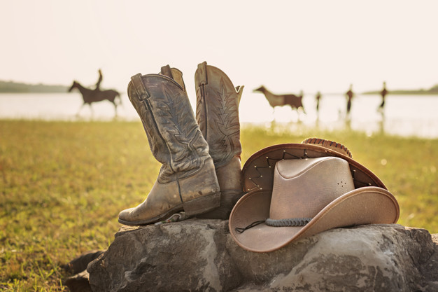 Bota Texana: The Iconic Cowboy Boot of Western Culture